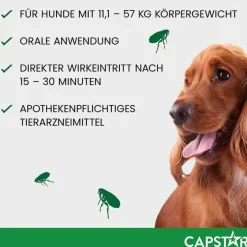 Online Capstar ™ 57 mg Tabletten für große Hunde, 6 St