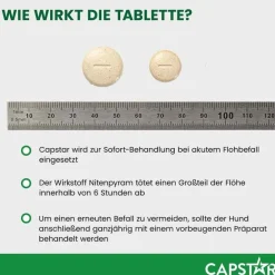 Online Capstar ™ 57 mg Tabletten für große Hunde, 6 St