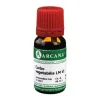 New Arcana Carbo vegetabilis LM 6 Dilution, 10 ml