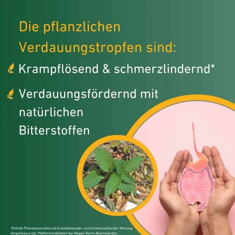 Discount ® Verdauungstropfen, 2X50 ml Verdauung