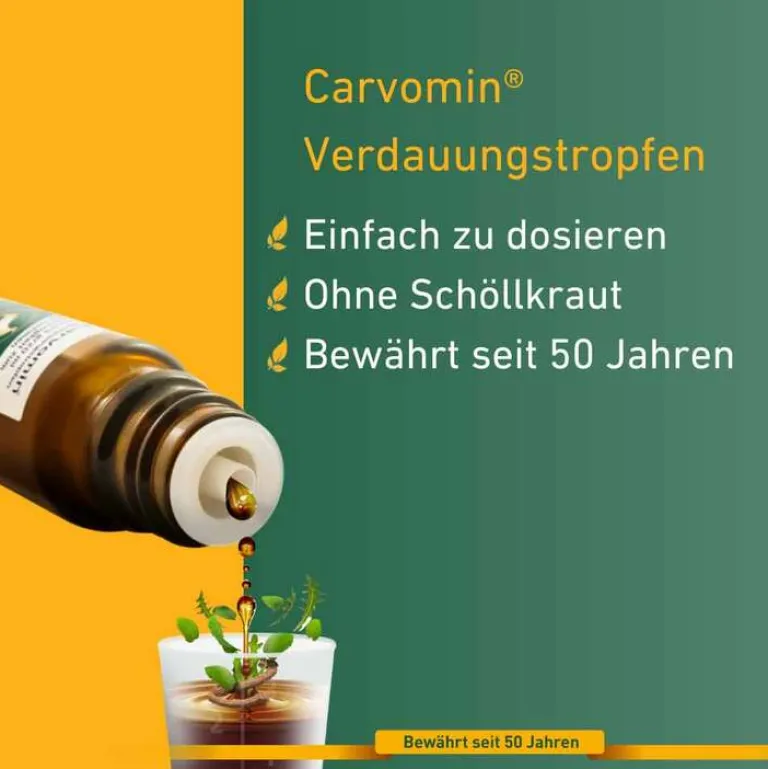 Discount ® Verdauungstropfen, 2X50 ml Verdauung