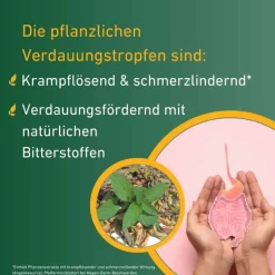 Online Verdauungstropfen, 20 ml Verdauung