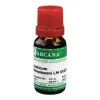 Hot Arcana causticum LM 18 Dilution, 10 ml