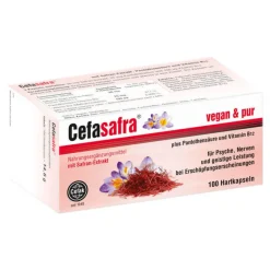 Hot Hartkapseln, 100 St Hirnleistung & Nerven