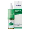 Chelidonium Rh D4 Augentropfen, 10 ml Auge & Ohr|Augentropfen Trockene Augen