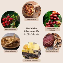 Chi Cafe bio Dr. Jacobs Pulver, 400 g