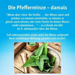 Outlet Hals- und Hustenbonbons ohne Zucker, 40 g Husten & Halsbonbons