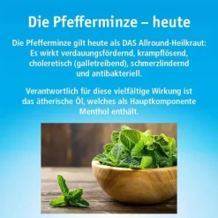 Sale China Öl China Oel mit 3 Inhalatoren, 100 ml