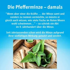 Hot China Oel ohne Inhalator, 10 ml Verdauung|Medikamente Gegen Blähungen