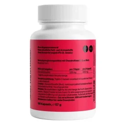 Chondroitin 500 mg Kapseln, 90 St