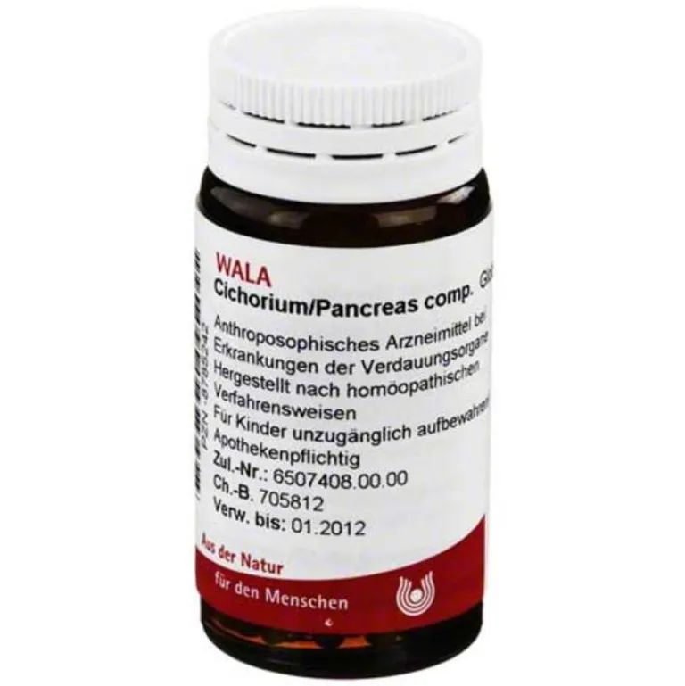 Outlet Cichorium Pancreas comp. Globuli, 20 g Magen & Darm