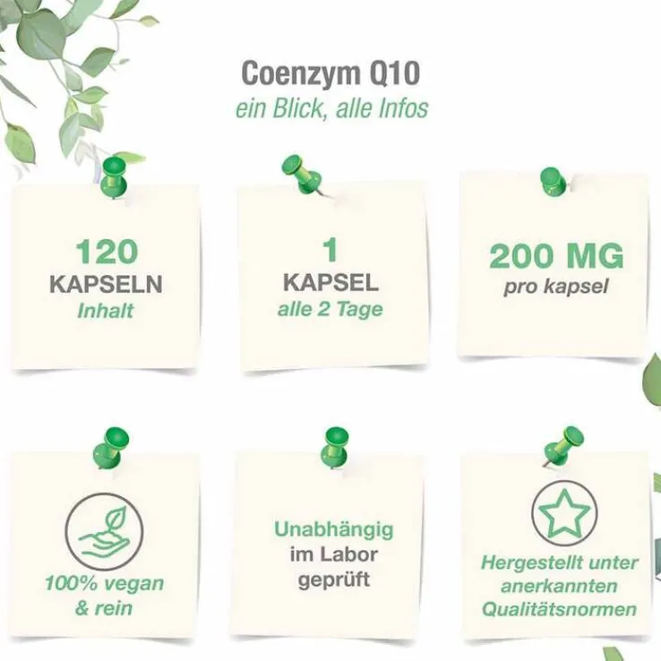 Coenzym Q10 Ubichinon Komplex 200 mg vegan Kapseln, 120 St