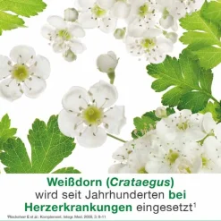 Dr. Loges cratae-Loges 450 mg Weißdorn Filmtabletten, 100 St