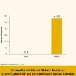 Hot Dr. Loges Curcumin-Loges plus Boswellia Kapseln, 120 St