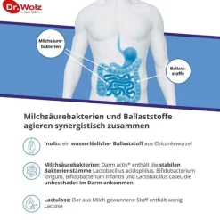 New Dr. Wolz Darm Activ Pulver, 400 g