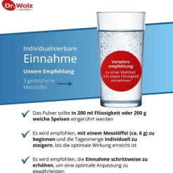 New Dr. Wolz Darm Activ Pulver, 400 g