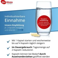 Dr. Wolz Darmflora plus select intens Kapseln, 80 St