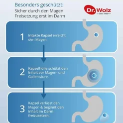 Sale Darmflora plus select Kapseln, 80 St Bakterienkulturen