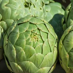 Sale Dr. Jacobs Darmhit Dr. Jacob`s Pulver, 210 g