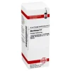 Outlet Abrotanum D 1 Dilution, 20 ml A