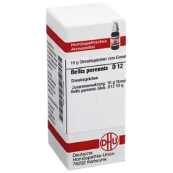Hot DHU Bellis perennis D 12 Globuli, 10 g