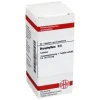 Clearance DHU Bryophyllum D 6 Tabletten, 80 St