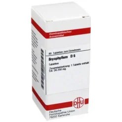 Clearance DHU Bryophyllum D 6 Tabletten, 80 St