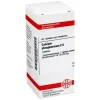 Outlet DHU Schüßler-Salze DHU Calcium phosphoricum C 6 Tabletten, 80 St