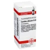 DHU Candida albicans D 30 Globuli, 10 g