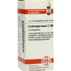 Sale DHU Cardiospermum C 200 Globuli, 10 g C|C