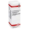 Outlet DHU Cardiospermum D 6 Dilution, 20 ml C