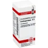 Outlet DHU Cardiospermum D 3 Globuli, 10 g