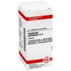 Sale Eupatorium perfoliatum D 6 Tabletten, 80 St E
