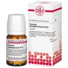 New DHU Schüßler-Salze DHU Ferrum phosphoricum D 12 Tabletten, 80 St