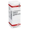 New DHU Graphites C 30 Dilution, 20 ml