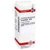 New DHU Lycopodium D 30 Dilution, 20 ml