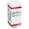 DHU Manganum sulfuricum D 6 Tabletten, 80 St