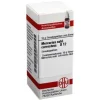 New DHU Mercurius sublimatus corrosivus D 12 G, 10 g