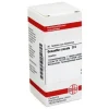 Outlet DHU Oenanthe crocata D 6 Tabletten, 80 St