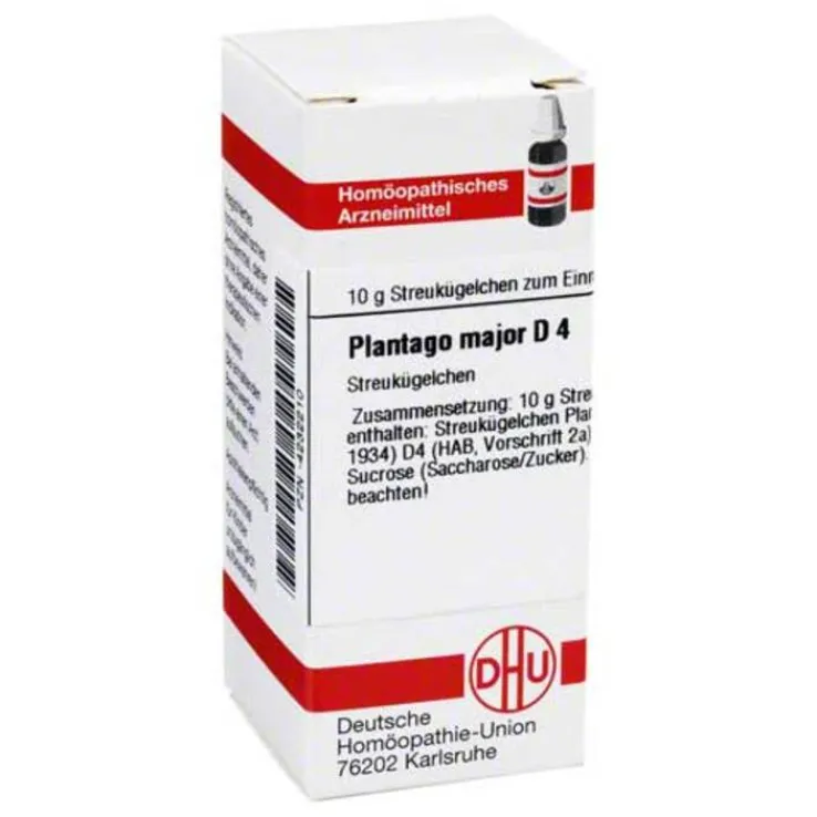 DHU Plantago Major D 4 Globuli, 10 g