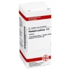 Outlet Plumbum aceticum D 6 Tabletten, 80 St P