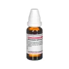 New Ranunculus Bulbosus D 6 Dilution, 20 ml Q-R