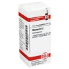 Online DHU Rheum D 12 Globuli, 10 g Q-R|Q-R