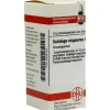 Best DHU Solidago virgaurea D 8 Globuli, 10 g