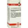 DHU Streptococcinum C 200 Globuli, 10 g S