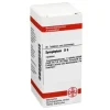 DHU Symphytum D 6 Tabletten, 80 St S