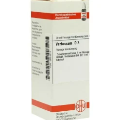 DHU Verbascum D 2 Dilution, 20 ml
