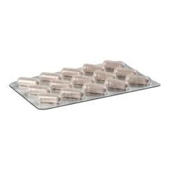 Clearance Zimtextraktkapseln, 180 St Zimt