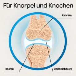 Outlet Dr. Böhm Knorpel & Knochen Tabletten, 120 St