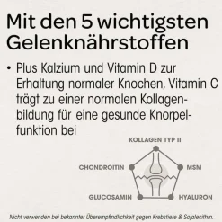 Outlet Dr. Böhm Knorpel & Knochen Tabletten, 120 St